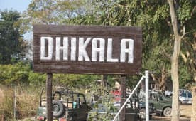 Flora Safari in Jim Corbett National Park