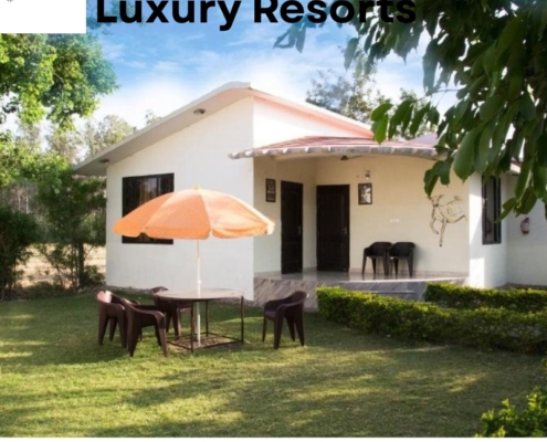 Luxury Resorts in Jim Corbett