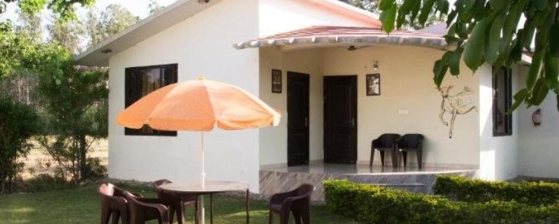 Luxury Resorts in Jim Corbett